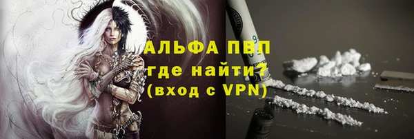 сатива Белокуриха